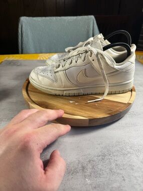 Nike Dunk Low Next Nature Sail Move to Zero- Sail Size 9